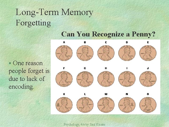 Long-Term Memory Forgetting Can You Recognize a Penny? § One reason people forget is