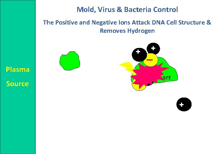 Mold, Virus & Bacteria Control The Positive and Negative Ions Attack DNA Cell Structure
