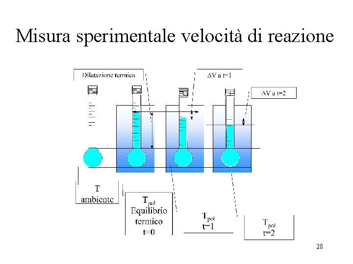 Misura sperimentale velocità di reazione 28 