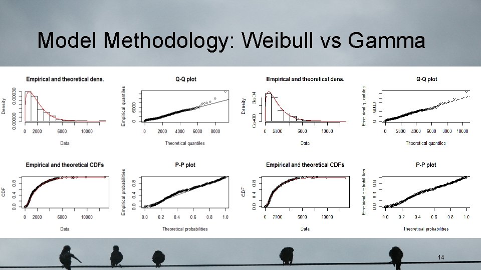 Model Methodology: Weibull vs Gamma 14 