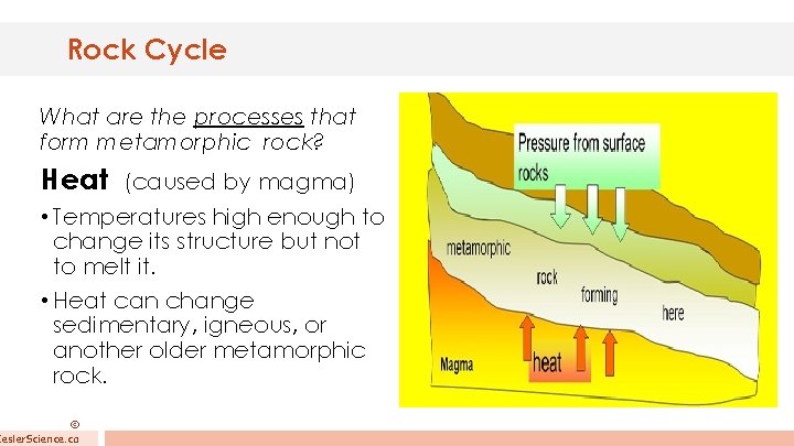 Rock Cycle What are the processes that form metamorphic rock? Heat (caused by magma)