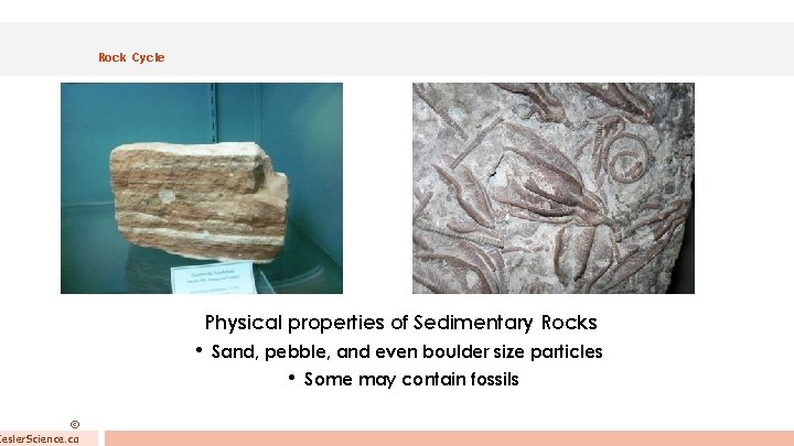 © Kesler. Science. co Rock Cycle Physical properties of Sedimentary Rocks • Sand, pebble,