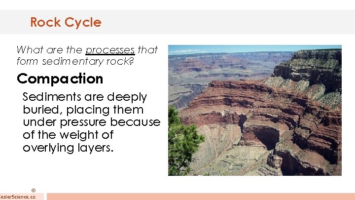 Rock Cycle What are the processes that form sedimentary rock? Compaction Sediments are deeply