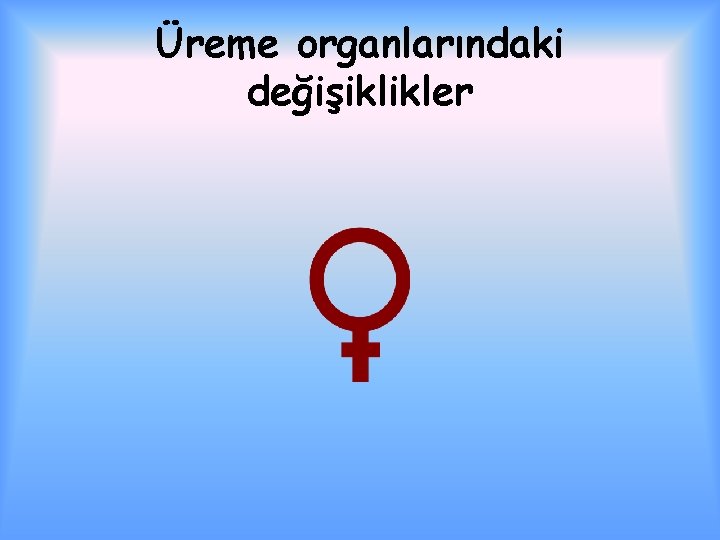 Üreme organlarındaki değişiklikler 