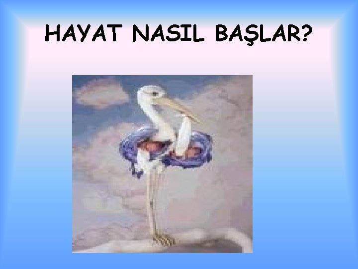 HAYAT NASIL BAŞLAR? 