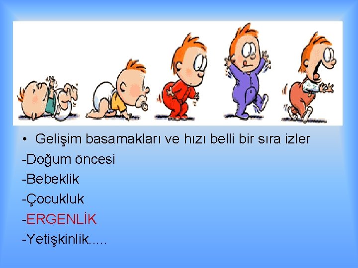  • Gelişim basamakları ve hızı belli bir sıra izler -Doğum öncesi -Bebeklik -Çocukluk