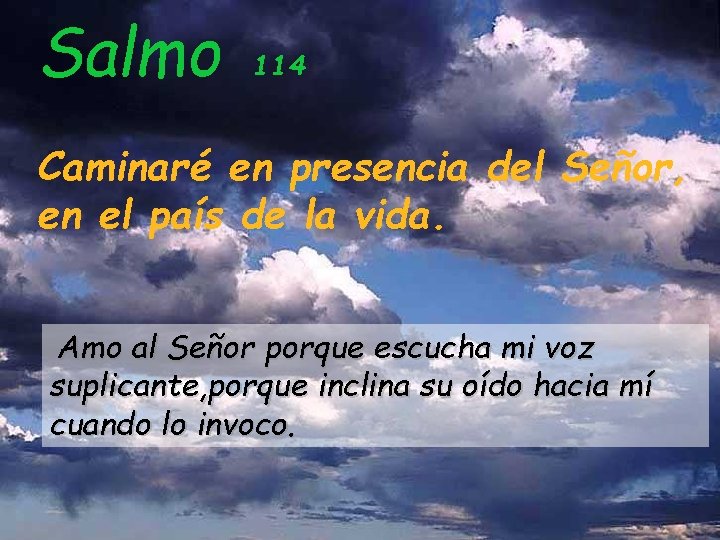 Salmo 114 Caminaré en presencia del Señor, en el país de la vida. Amo Salmo 114 Caminaré en presencia del Señor, en el país de la vida. Amo