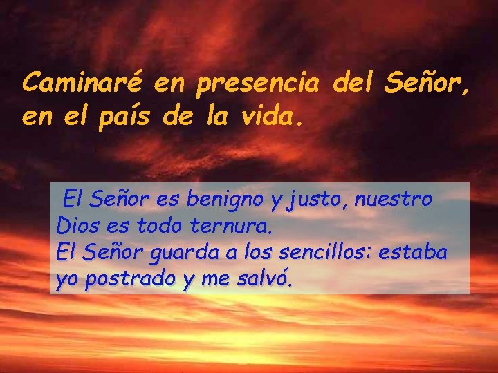 Caminaré en presencia del Señor, en el país de la vida. El Señor es Caminaré en presencia del Señor, en el país de la vida. El Señor es
