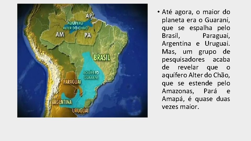  • Até agora, o maior do planeta era o Guarani, que se espalha