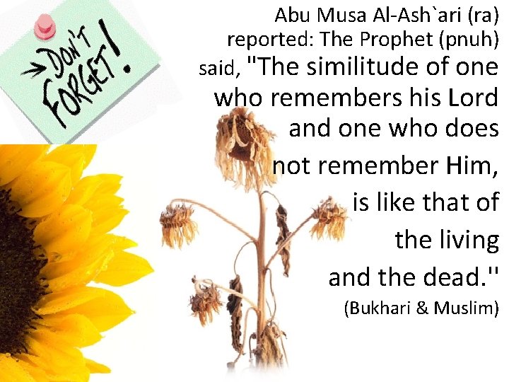 Abu Musa Al-Ash`ari (ra) reported: The Prophet (pnuh) said, "The similitude of one who