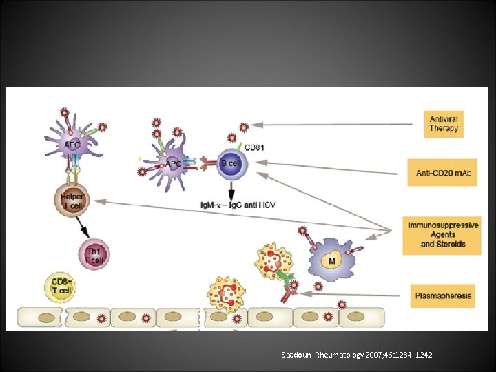 Saadoun. Rheumatology 2007; 46: 1234– 1242 