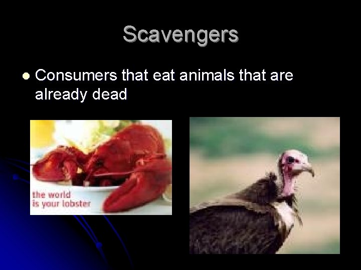 Scavengers l Consumers that eat animals that are already dead 