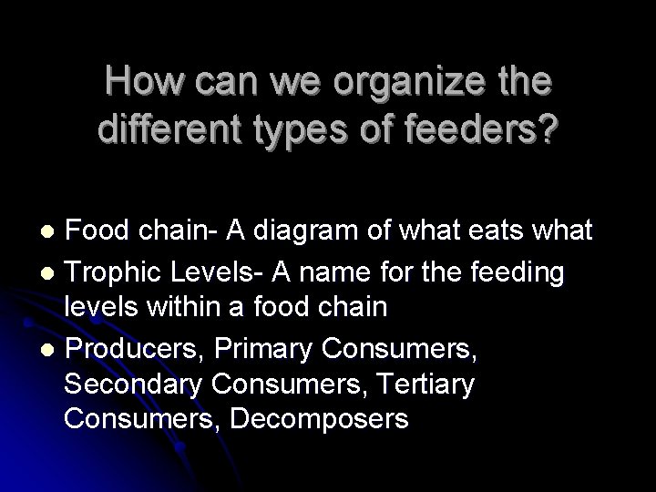 How can we organize the different types of feeders? Food chain- A diagram of