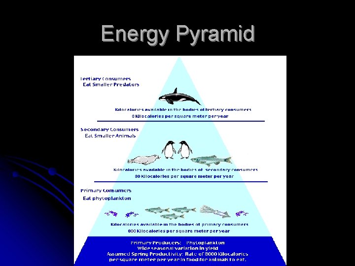 Energy Pyramid 