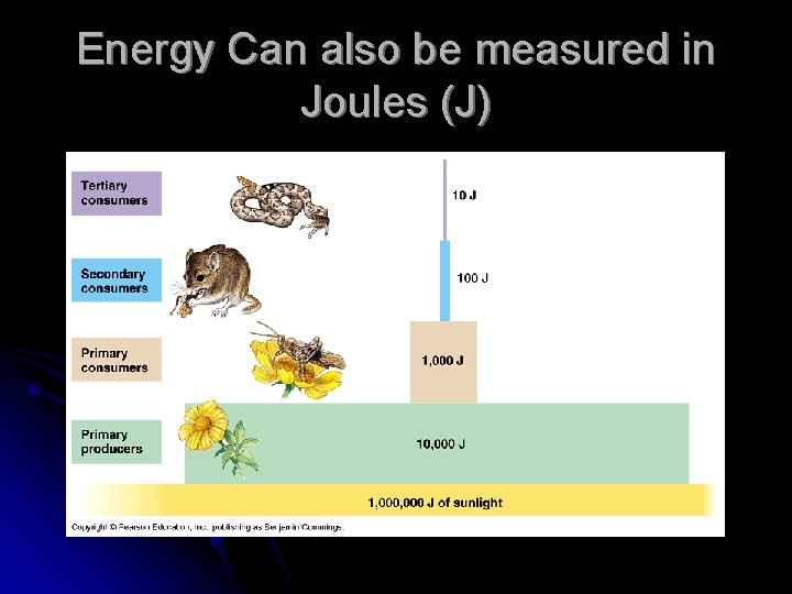Energy Can also be measured in Joules (J) 