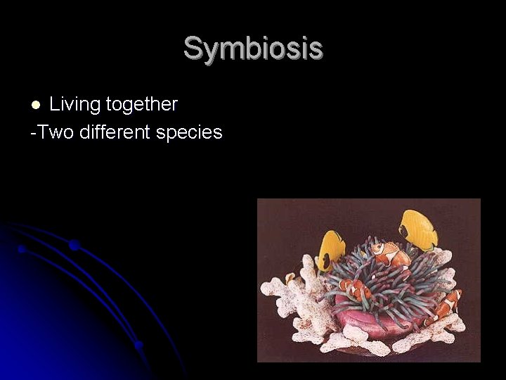Symbiosis Living together -Two different species l 