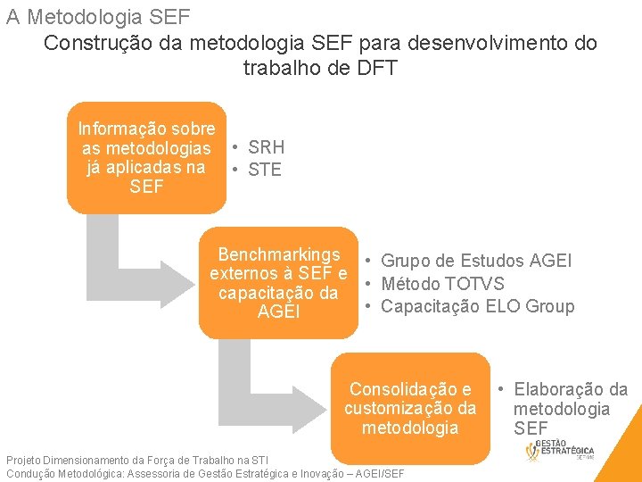 A Metodologia SEF Construção da metodologia SEF para desenvolvimento do trabalho de DFT Informação
