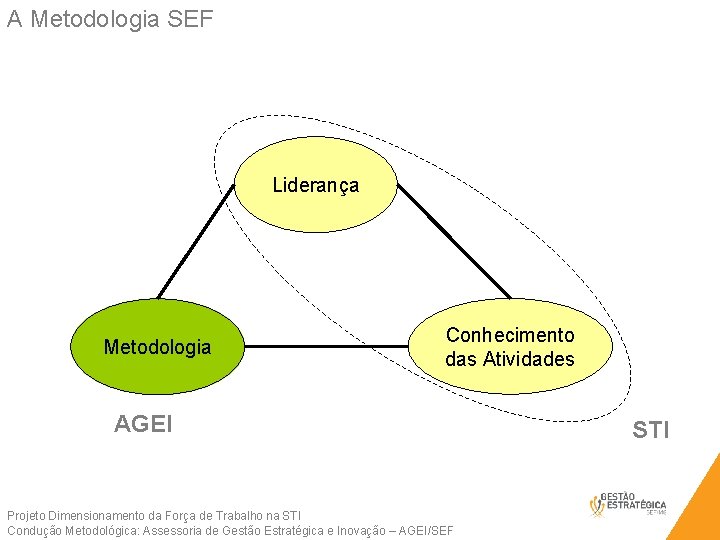 A Metodologia SEF Liderança Metodologia Conhecimento das Atividades AGEI Projeto Dimensionamento da Força de