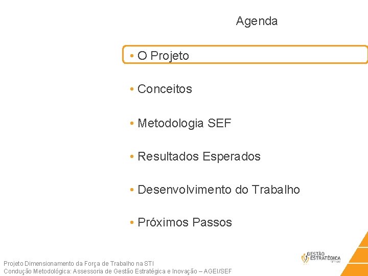 Agenda • O Projeto • Conceitos • Metodologia SEF • Resultados Esperados • Desenvolvimento