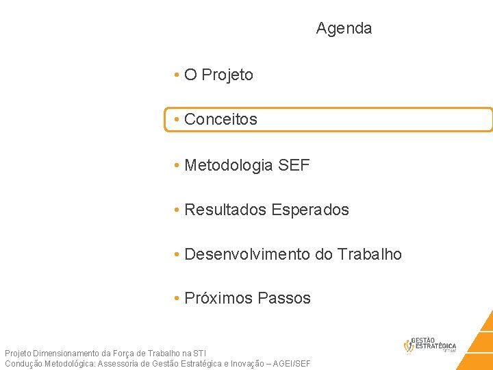 Agenda • O Projeto • Conceitos • Metodologia SEF • Resultados Esperados • Desenvolvimento