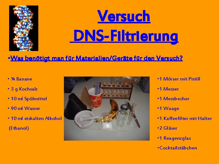 Versuch DNS-Filtrierung • Was benötigt man für Materialien/Geräte für den Versuch? • ¼ Banane