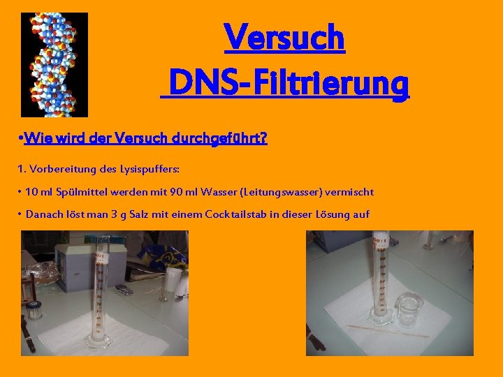 Versuch DNS-Filtrierung • Wie wird der Versuch durchgeführt? 1. Vorbereitung des Lysispuffers: • 10