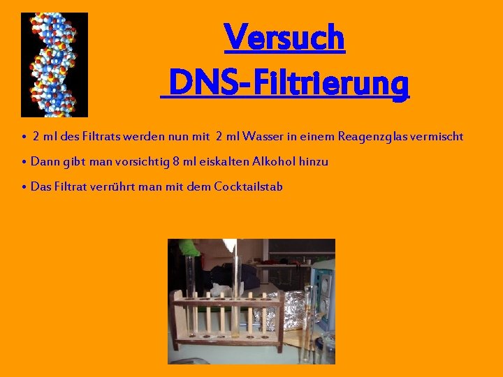 Versuch DNS-Filtrierung • 2 ml des Filtrats werden nun mit 2 ml Wasser in