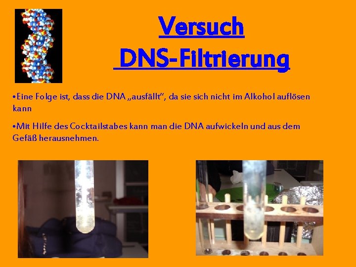 Versuch DNS-Filtrierung • Eine Folge ist, dass die DNA „ausfällt“, da sie sich nicht