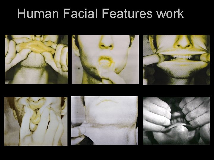 Human Facial Features work 