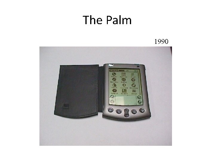 The Palm 1990 