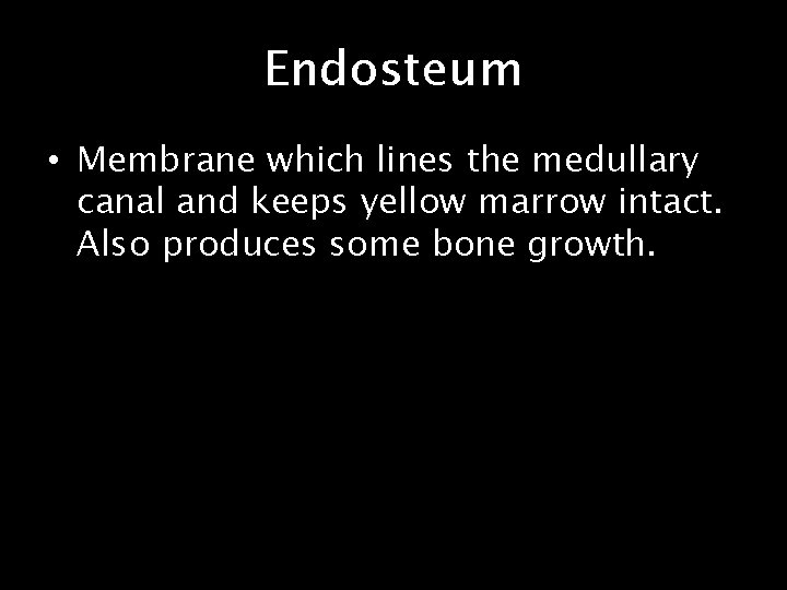 Endosteum • Membrane which lines the medullary canal and keeps yellow marrow intact. Also