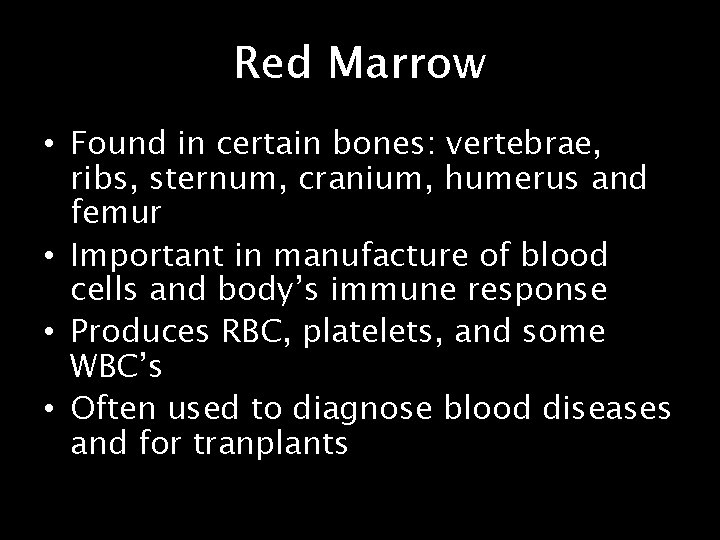 Red Marrow • Found in certain bones: vertebrae, ribs, sternum, cranium, humerus and femur