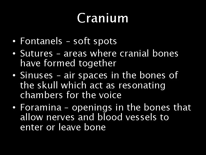 Cranium • Fontanels – soft spots • Sutures – areas where cranial bones have