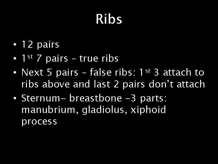 Ribs • 12 pairs • 1 st 7 pairs – true ribs • Next