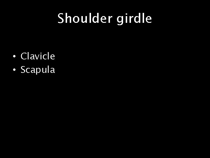 Shoulder girdle • Clavicle • Scapula 