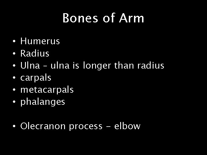 Bones of Arm • • • Humerus Radius Ulna – ulna is longer than