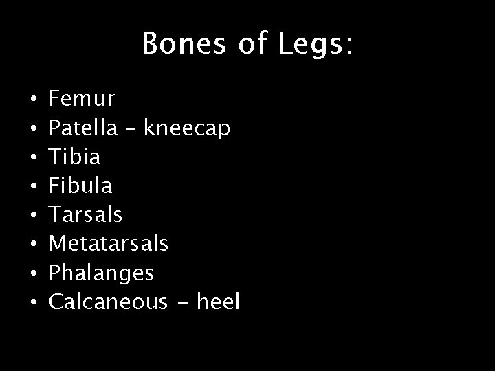 Bones of Legs: • • Femur Patella – kneecap Tibia Fibula Tarsals Metatarsals Phalanges