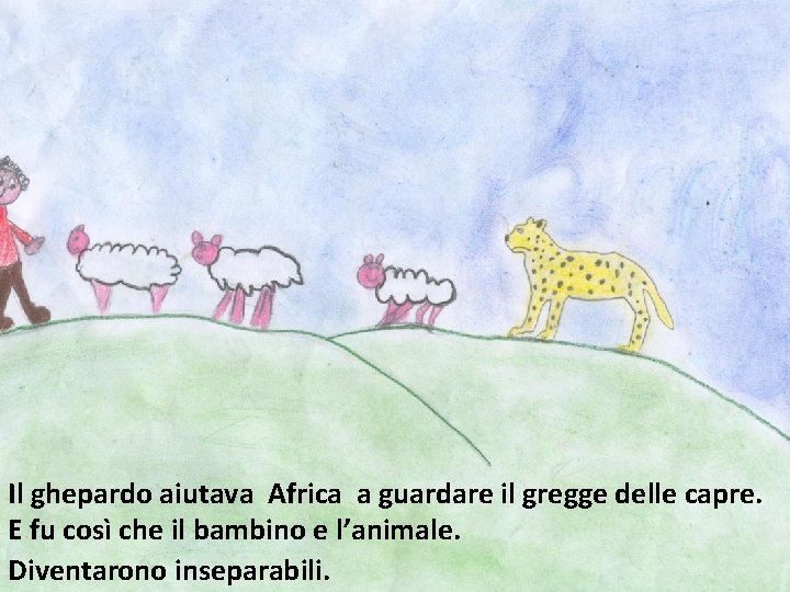 Il ghepardo aiutava Africa a guardare il gregge delle capre. E fu così che