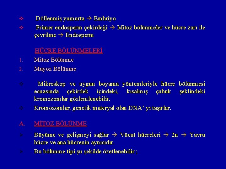 v Döllenmiş yumurta Embriyo Primer endosperm çekirdeği Mitoz bölünmeler ve hücre zarı ile çevrilme