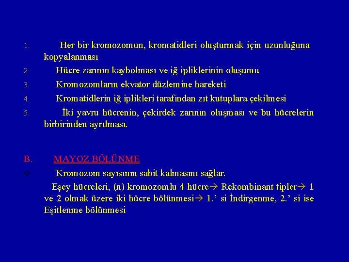 1. 2. 3. 4. 5. B. v Her bir kromozomun, kromatidleri oluşturmak için uzunluğuna
