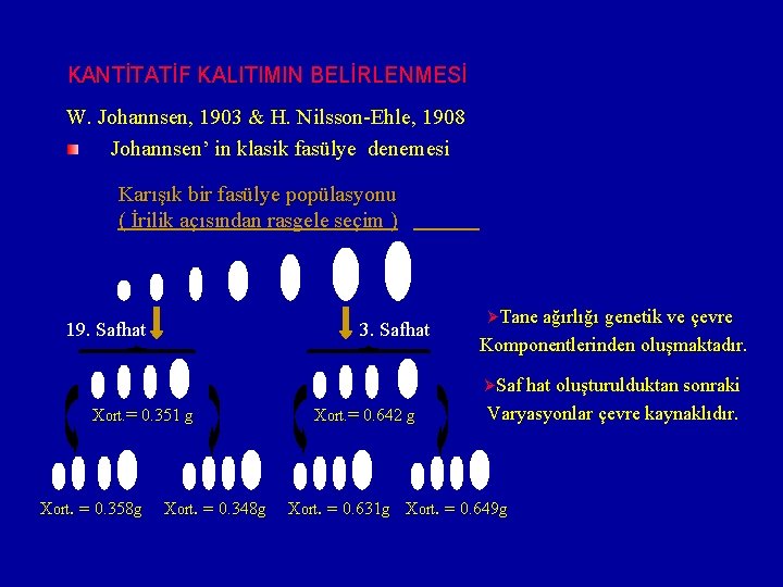 KANTİTATİF KALITIMIN BELİRLENMESİ W. Johannsen, 1903 & H. Nilsson-Ehle, 1908 Johannsen’ in klasik fasülye