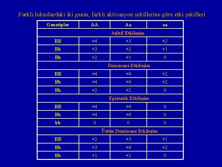 Farklı lokuslardaki iki genin, farklı aktivasyon şekillerine göre etki şekilleri Genotipler AA Aa aa