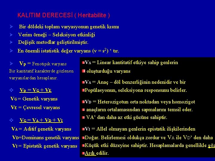 KALITIM DERECESİ ( Heritabilite ) Ø Ø Ø Bir döldeki toplam varyasyonun genetik kısmı