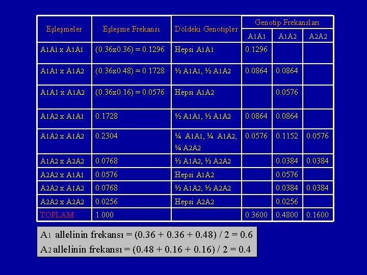 Döldeki Genotipler Genotip Frekansları Eşleşmeler Eşleşme Frekansı A 1 A 1 x A 1