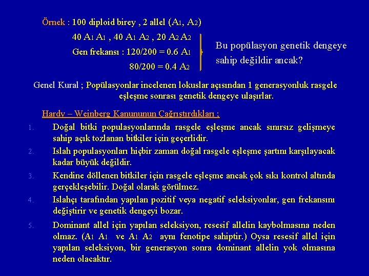 Örnek : 100 diploid birey , 2 allel (A 1, A 2) 40 A