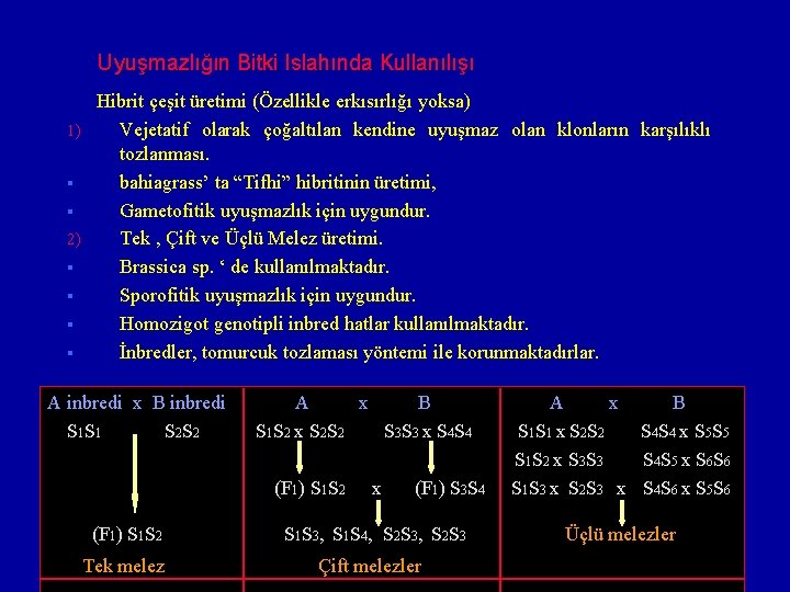 Uyuşmazlığın Bitki Islahında Kullanılışı Hibrit çeşit üretimi (Özellikle erkısırlığı yoksa) 1) Vejetatif olarak çoğaltılan