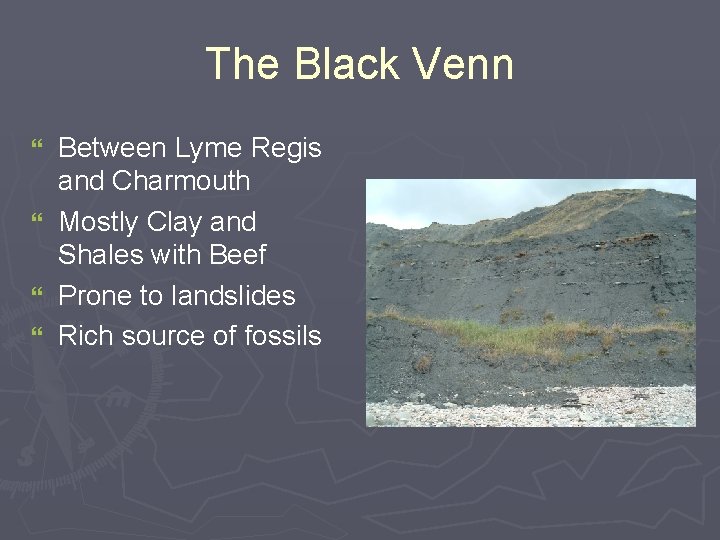 The Black Venn Between Lyme Regis and Charmouth } Mostly Clay and Shales with