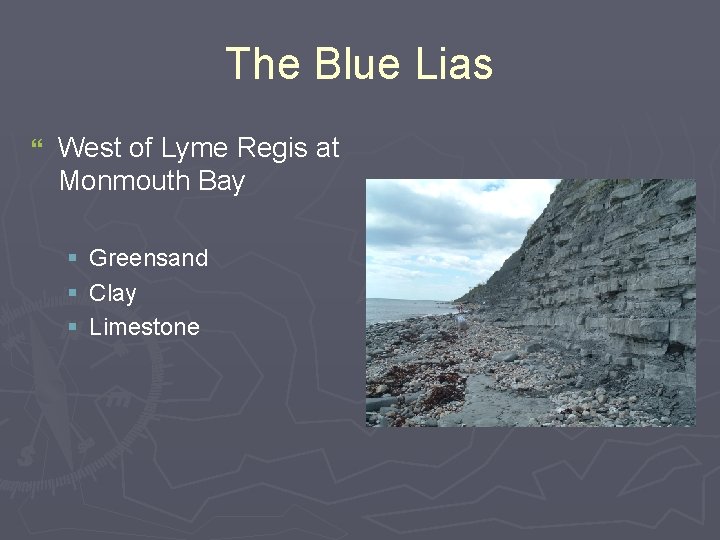 The Blue Lias } West of Lyme Regis at Monmouth Bay § § §