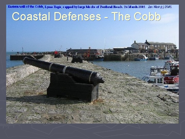 Coastal Defenses - The Cobb 