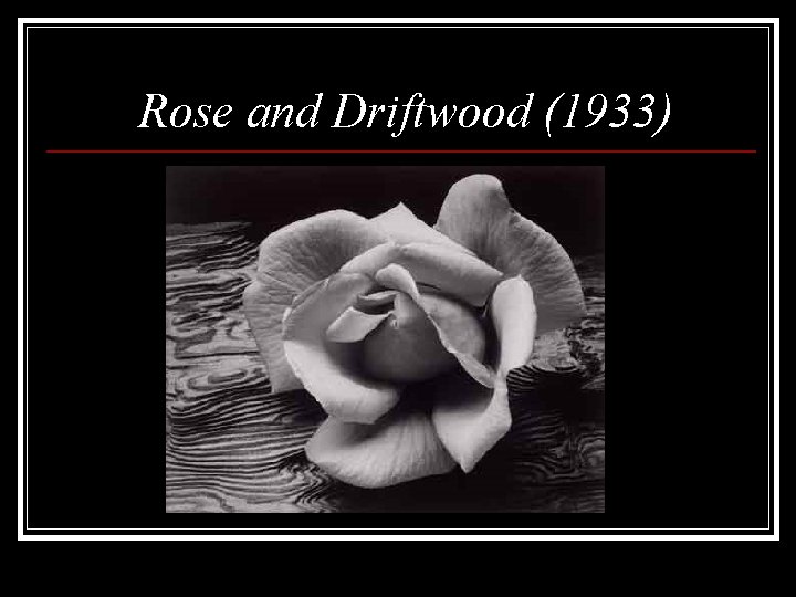 Rose and Driftwood (1933) 